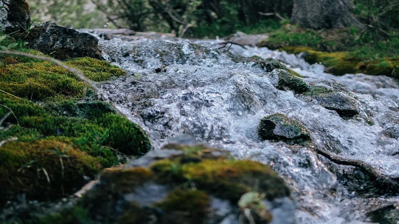 Klares Wasser fließt in einem Bergbach über bemooste Steine